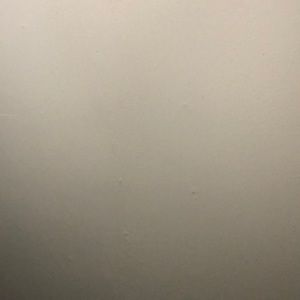 Meet your Posher, Mackenzie